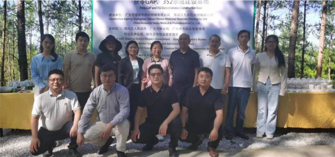 四川首个！我校主持的“广元茯苓”通过川产道地药材全产业链示范工程认定