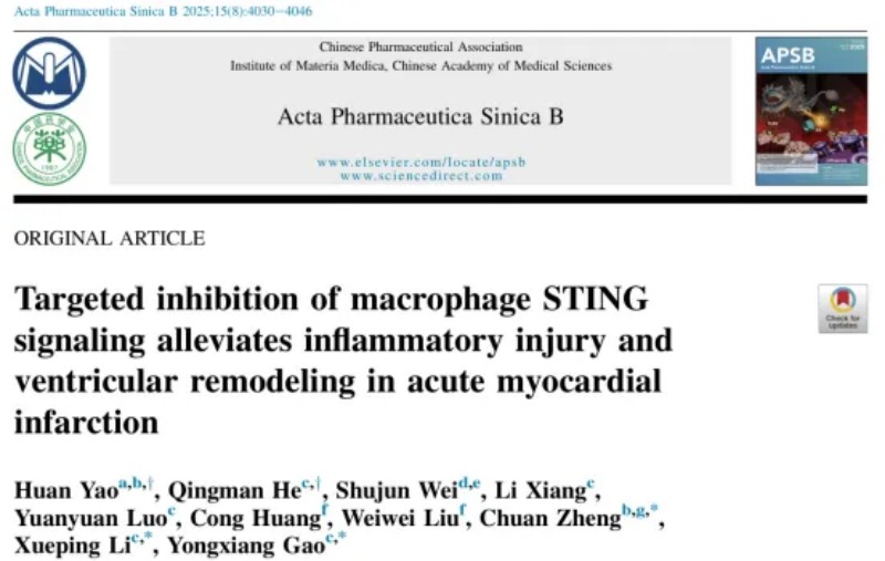 我校学者在《Acta Pharmaceutica Sinica B》发表创新成果揭示三七活性成分治疗心肌梗死的分子靶点(图1)
